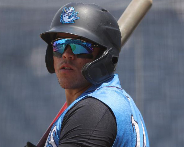 Scouting Yankees Prospect #48: Andres Chaparro